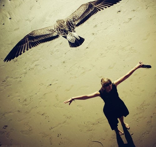 beach-bird-color-accent-composite-girl-photography-Favim.com-40872